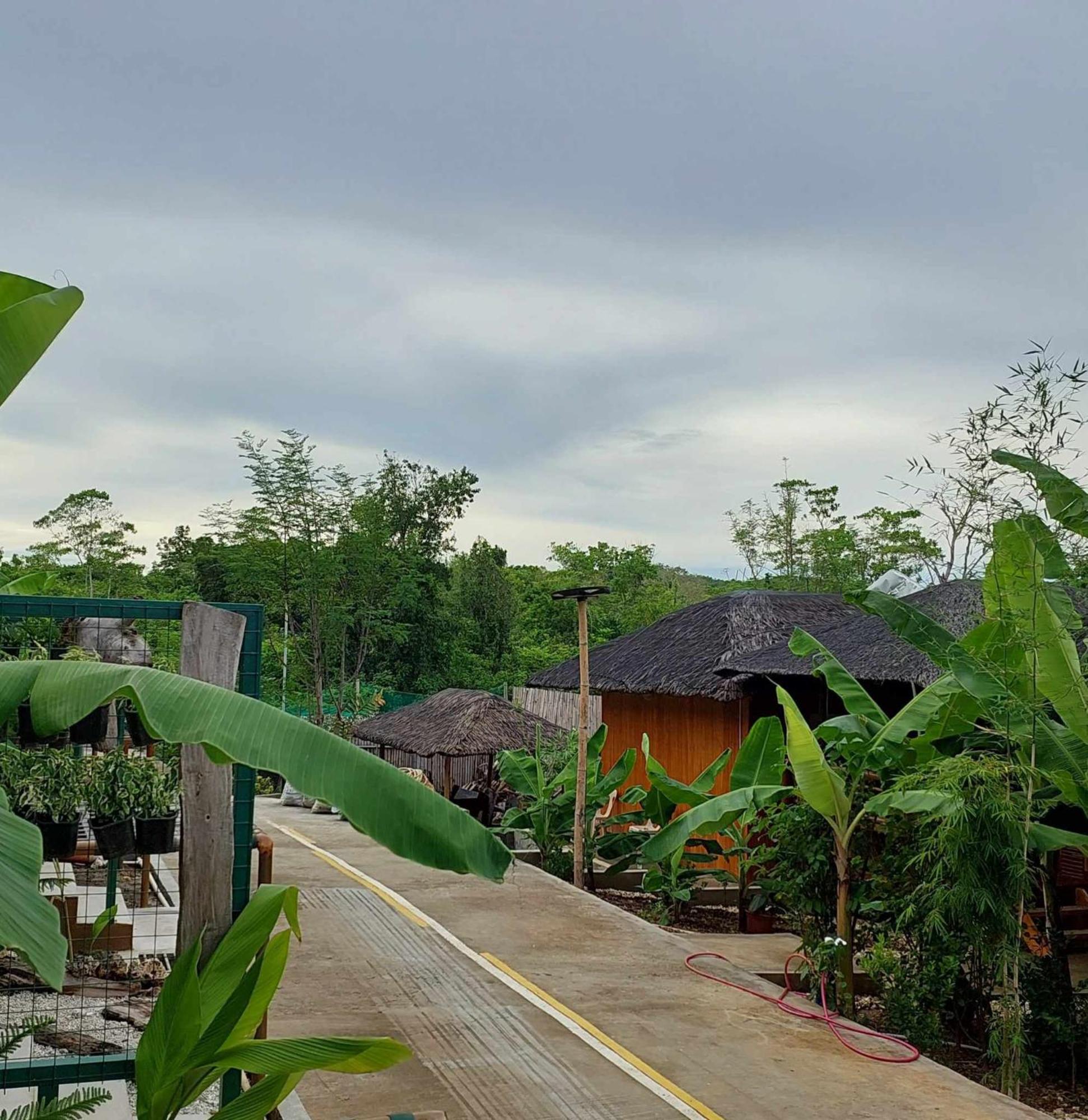 Vikings Ecolodge San Juan (Siquijor) Exterior foto
